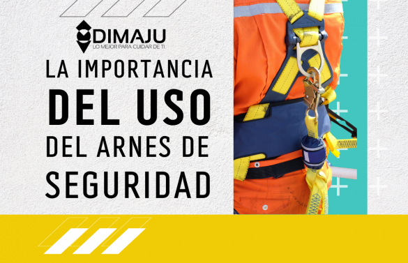 La importancia del uso del arnés de seguridad