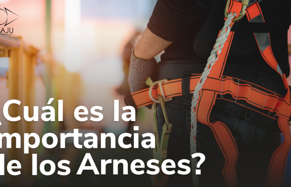 ¿Cual es la Importancia del Arnés de Seguridad?